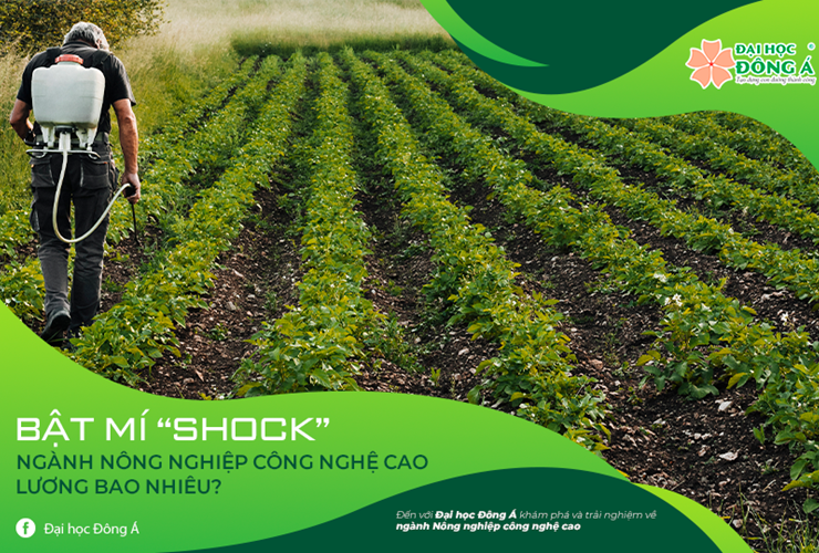 Bật Mí “Shock” Ngành Nông Nghiệp Công Nghệ Cao Lương Bao Nhiêu?